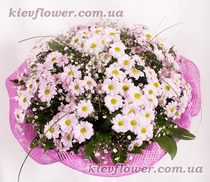 Bouquet of pink chrysanthemums