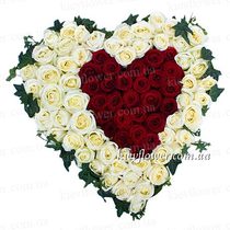 Kievflower